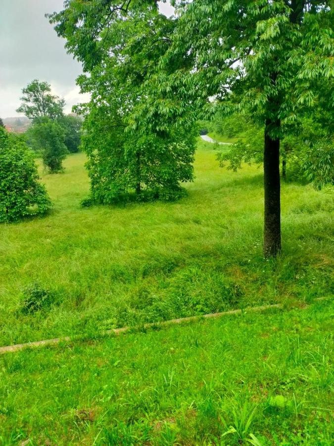Il Bosco Incantato ボルゴ・サン・ダルマッツォ エクステリア 写真